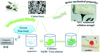 Graphical abstract: Mechanical reinforcement of a cellulose aerogel with nanocrystalline cellulose as reinforcer