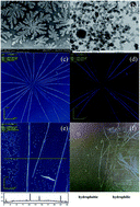 Graphical abstract: One-minute self-assembly of millimetre-long DAST crystalline microbelts via substrate-supported rapid evaporation crystallization