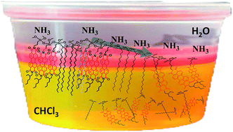 Graphical abstract: Oriented perylene incorporated optically anisotropic 2D silica films