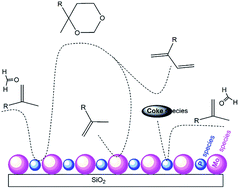 Graphical abstract: Assembly line synthesis of isoprene from formaldehyde and isobutene over SiO2-supported MoP catalysts with active deposited carbon