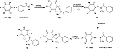 Graphical abstract: Theoretical insights into the reaction mechanism between tetrachloro-o-benzoquinone and N-methyl benzohydroxamic acid