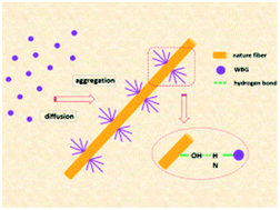 Graphical abstract: Root-like natural fibers in polypropylene prepared via directed diffusion and self-assembly driven by hydrogen bonding