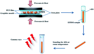 Graphical abstract: Preparation of high oil-absorptive uniform gel with controllable oil-absorbency by radiation