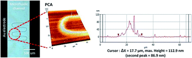 Graphical abstract: Direct writing of a conducting polymer pattern in aqueous solution by using an ultrashort laser pulse