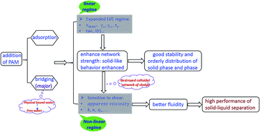 Graphical abstract: Applying rheological analysis to understand the mechanism of polyacrylamide (PAM) conditioning for sewage sludge dewatering
