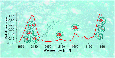 Graphical abstract: Infrared spectroscopy on the role of surfactants during methane hydrate formation