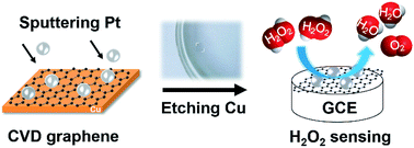 Graphical abstract: Chemical vapor deposition graphene combined with Pt nanoparticles applied in non-enzymatic sensing of ultralow concentrations of hydrogen peroxide