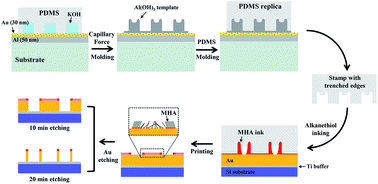 Graphical abstract: Micro- and nano-patterns fabricated by embossed microscale stamp with trenched edges