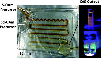 Graphical abstract: Millifluidic synthesis of cadmium sulfide nanoparticles and their application in bioimaging