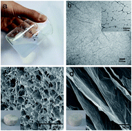 Graphical abstract: Preparation of carbon aerogels from TEMPO-oxidized cellulose nanofibers for organic solvents absorption