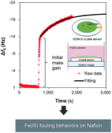 Graphical abstract: Insights into iron induced fouling of ion-exchange membranes revealed by a quartz crystal microbalance with dissipation monitoring