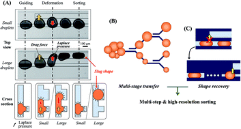 Graphical abstract: A high-resolution passive droplet-phase sample sorter using multi-stage droplet transfer