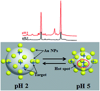 Graphical abstract: Creating dynamic SERS hotspots on the surface of pH-responsive microgels for direct detection of crystal violet in solution