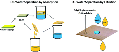 Graphical abstract: Polythiophene functionalized hydrophobic cellulose kitchen wipe sponge and cellulose fabric for effective oil–water separation