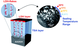 Graphical abstract: Hierarchically organized Li–Al-LDH nano-flakes: a low-temperature approach to seal porous anodic oxide on aluminum alloys