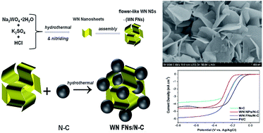 Graphical abstract: Efficient synthesis of nitrogen-doped carbon with flower-like tungsten nitride nanosheets for improving the oxygen reduction reactions