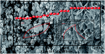 Graphical abstract: Binder free 2D aligned efficient MnO2 micro flowers as stable electrodes for symmetric supercapacitor applications