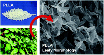 Graphical abstract: Unique leafy morphology of poly(lactic acid) monoliths controlled via novel phase separation technology