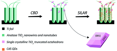 Graphical abstract: A facile approach for photoelectrochemical performance enhancement of CdS QD-sensitized TiO2 via decorating {001} facet-exposed nano-polyhedrons onto nanotubes