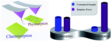 Graphical abstract: Direct comparison between chemisorption and physisorption: a study of poly(ethylene glycol) by means of single-molecule force spectroscopy