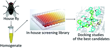 Graphical abstract: Bis-isoquinolinium and bis-pyridinium acetylcholinesterase inhibitors: in vitro screening of probes for novel selective insecticides