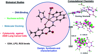 Graphical abstract: Coumarin centered copper(ii) complex with appended-imidazole as cancer chemotherapeutic agents against lung cancer: molecular insight via DFT-based vibrational analysis