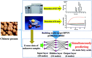 Graphical abstract: Qualitative and quantitative analysis of fatty acid profiles of Chinese pecans (Carya cathayensis) during storage using an electronic nose combined with chemometric methods