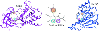 Graphical abstract: Heat shock protein 90 and serine/threonine kinase B-Raf inhibitors have overlapping chemical space