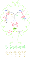 Graphical abstract: Highly efficient, one-pot synthesis of novel bis-spirooxindoles with skeletal diversity via sequential multi-component reaction in PEG-400 as a biodegradable solvent