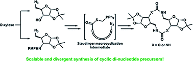 Graphical abstract: A novel application of the Staudinger ligation to access neutral cyclic di-nucleotide analog precursors via a divergent method
