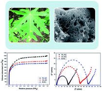 Graphical abstract: Nitrogen-rich green leaves of papaya and Coccinia grandis as precursors of activated carbon and their electrochemical properties