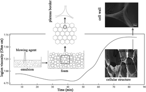 Graphical abstract: Preparation, characterization and thermal analysis of urea-formaldehyde foam