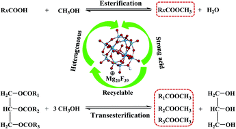 Graphical abstract: Polyoxometalate-MgF2 hybrids as heterogeneous solid acid catalysts for efficient biodiesel production