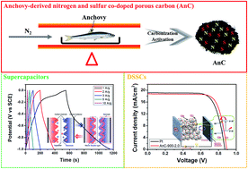 Graphical abstract: Anchovy-derived nitrogen and sulfur co-doped porous carbon materials for high-performance supercapacitors and dye-sensitized solar cells