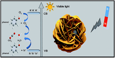 Graphical abstract: Promotion of phenol photodegradation based on novel self-assembled magnetic bismuth oxyiodide core–shell microspheres