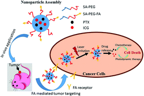Graphical abstract: Tumor targeted nanostructured lipid carrier co-delivering paclitaxel and indocyanine green for laser triggered synergetic therapy of cancer