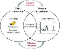 Graphical abstract: Vibrational characteristics of DNA nanostructures obtained through a mass-weighted chemical elastic network model
