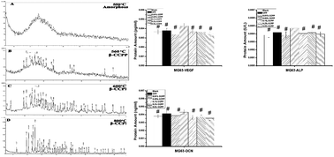 Graphical abstract: Preparation, characterization, bioactivity and degradation behavior in vitro of copper-doped calcium polyphosphate as a candidate material for bone tissue engineering