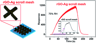 Graphical abstract: Graphene oxide scroll meshes encapsulated Ag nanoparticles for humidity sensing