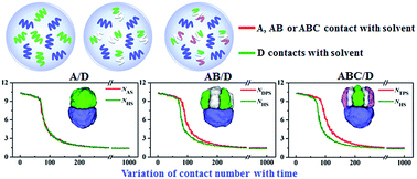 Graphical abstract: Stepwise study on Janus-like particles fabricated by polymeric mixtures within soft droplets: a Monte Carlo simulation