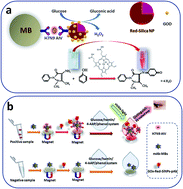 Graphical abstract: Magnetic bead-based mimic enzyme-chromogenic substrate and silica nanoparticles signal amplification system for avian influenza A (H7N9) optical immunoassay