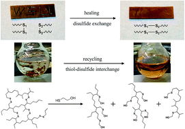 Graphical abstract: Photo-responsive liquid crystalline epoxy networks with exchangeable disulfide bonds