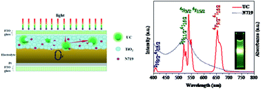 Graphical abstract: A dual-functional NaLuF4:Yb3+/Er3+ material for enhancing photon harvesting in dye-sensitized solar cells