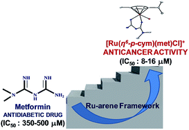 Graphical abstract: Water soluble Ru(ii)–arene complexes of the antidiabetic drug metformin: DNA and protein binding, molecular docking, cytotoxicity and apoptosis-inducing activity