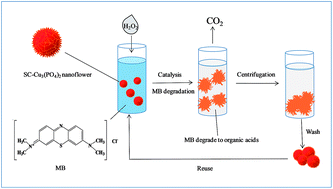 Graphical abstract: Self-assembly of biosurfactant–inorganic hybrid nanoflowers as efficient catalysts for degradation of cationic dyes