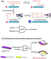 Graphical abstract: Multi-responsive, bidirectional, and large deformation bending actuators based on borax cross-linked polyvinyl alcohol derivative hydrogel