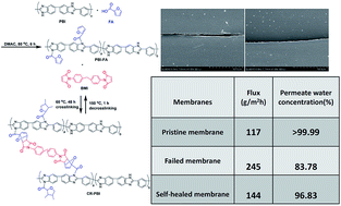 Graphical abstract: Self-healing polymeric materials for membrane separation: an example of a polybenzimidazole-based membrane for pervaporation dehydration on isopropanol aqueous solution