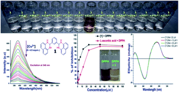 Graphical abstract: Perimidine based selective colorimetric and fluorescent turn-off chemosensor of aqueous Cu2+: studies on its antioxidant property along with its interaction with calf thymus-DNA