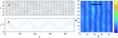 Graphical abstract: Field-driven pattern formation in nematic liquid crystals: mesoscopic simulations of electroconvection