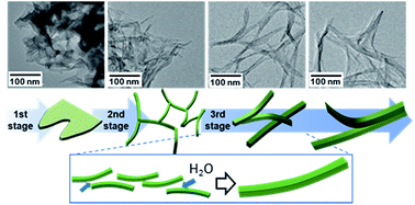 Graphical abstract: Evolution analysis of V2O5·nH2O gels for preparation of xerogels having a high specific surface area and their replicas